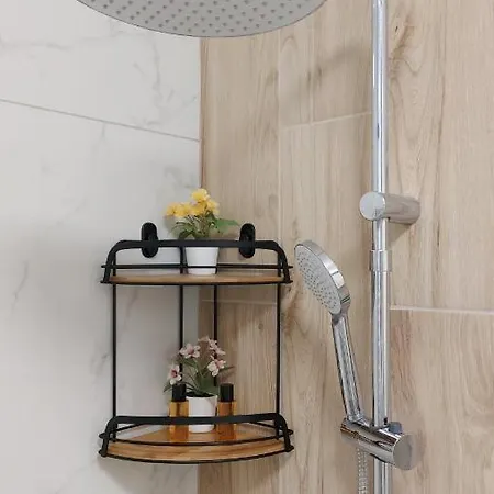 Апартаменты Temisto *