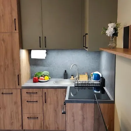 Apartament Temisto *