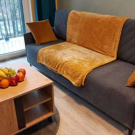 Апартаменты Temisto Быдгощ