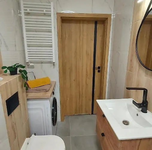 Temisto 비드고슈치